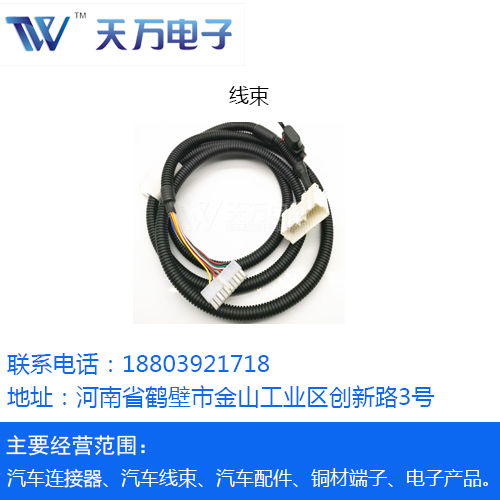 專業汽車接插件