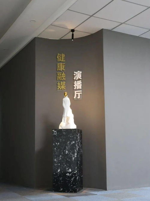 健康融媒演播廳正式上線 唱響健康好聲音，探索工藝美術(shù)品零售新方向